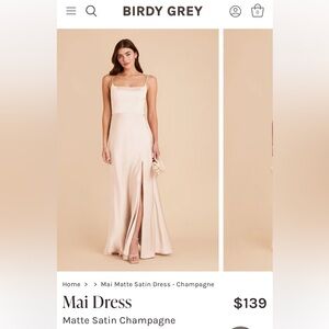 Birdy Grey Mai Matte Satin Champagne Dress
